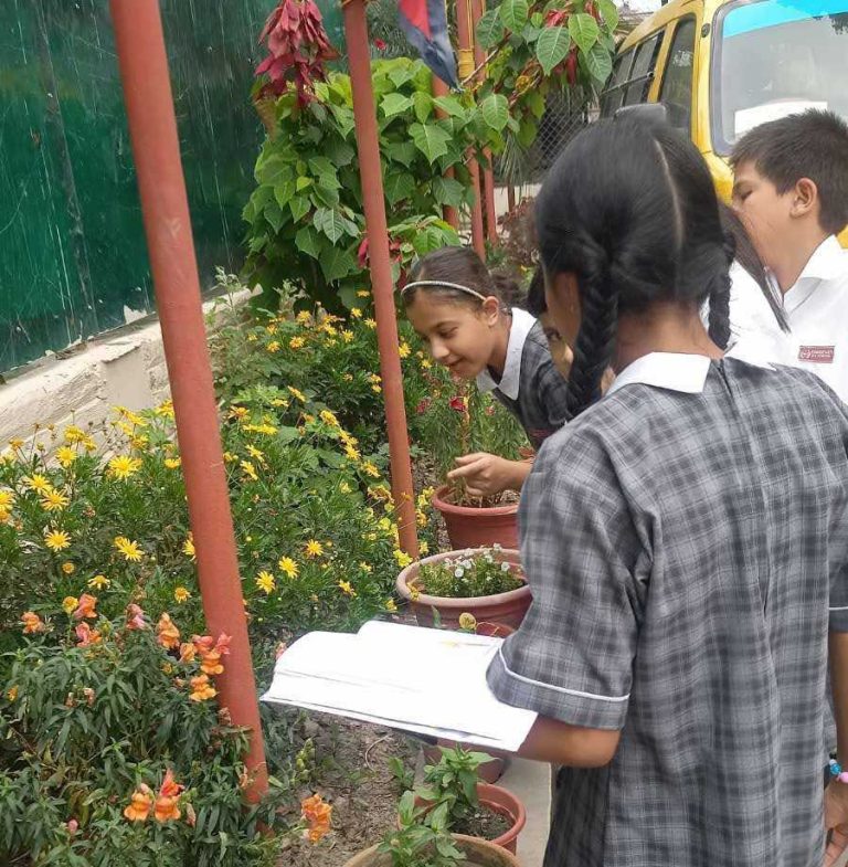 Our fifth grade exploring & observing the plants growing in our school